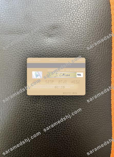 Sweden Swedbank visa debit card photolook back